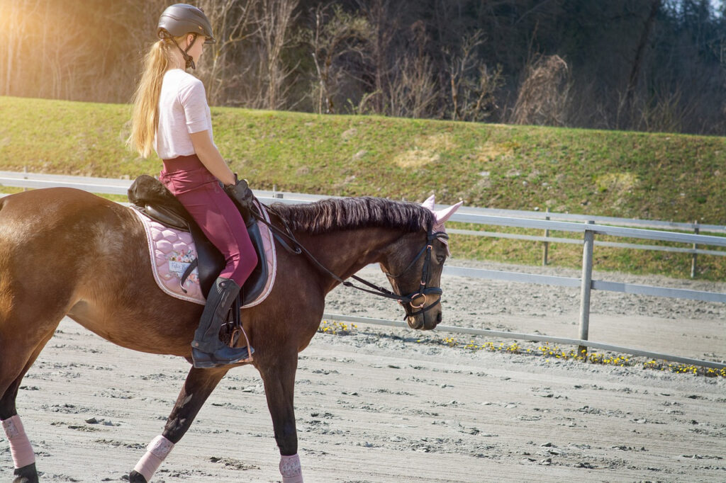 équitation