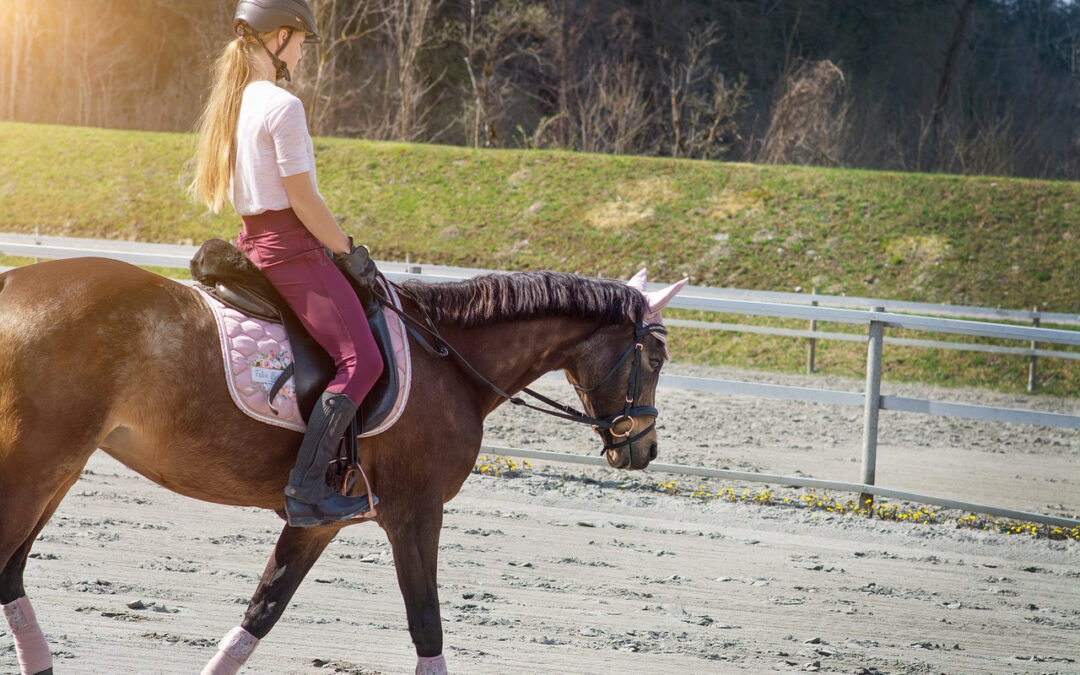 Assurer la protection de votre cheval grâce à un tapis d’équitation